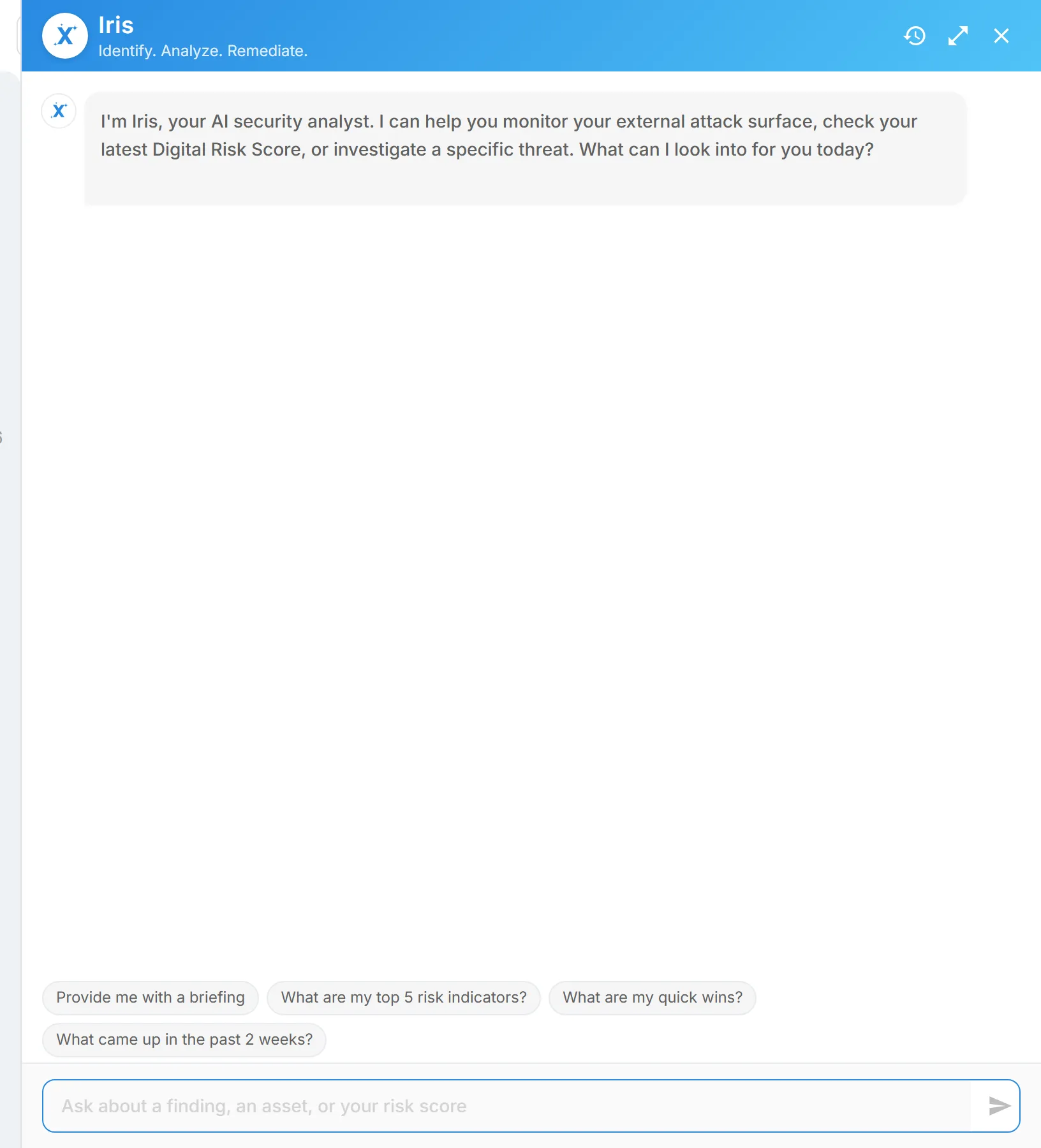 The Iris chat panel opened with the "Iris - AI Assistant" icon in the header, with the suggested prompts and question box.