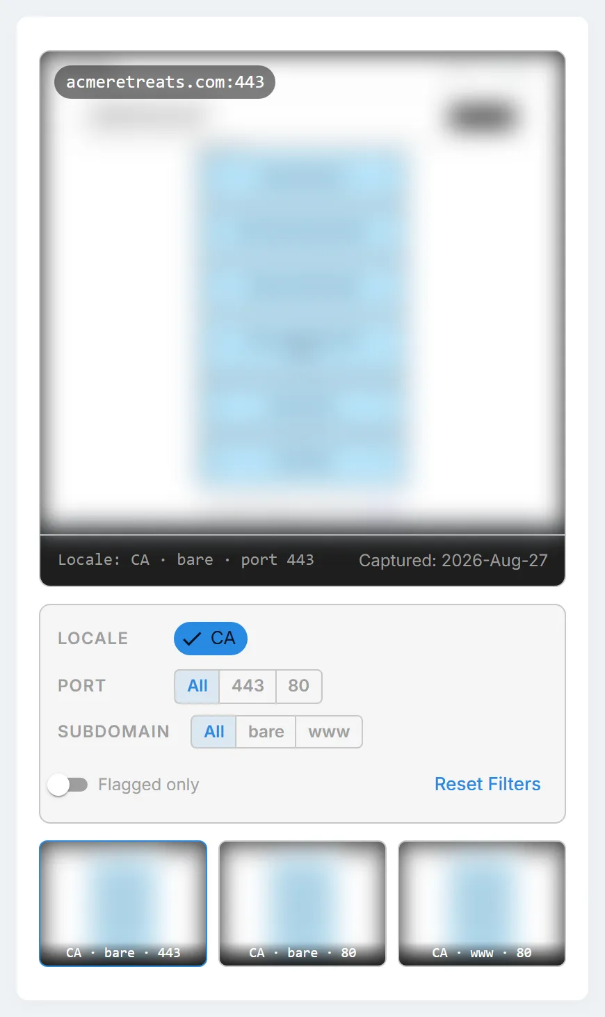 The screenshot gallery on a lookalike domain's detail page, with one large capture, its thumbnails, and the "Locale", "Port", and "Subdomain" filters.